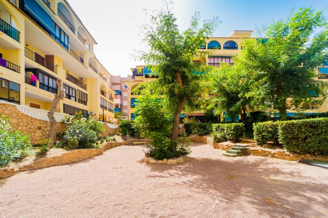 Apartamento Alegria Id36 La Mata  Bagian luar foto