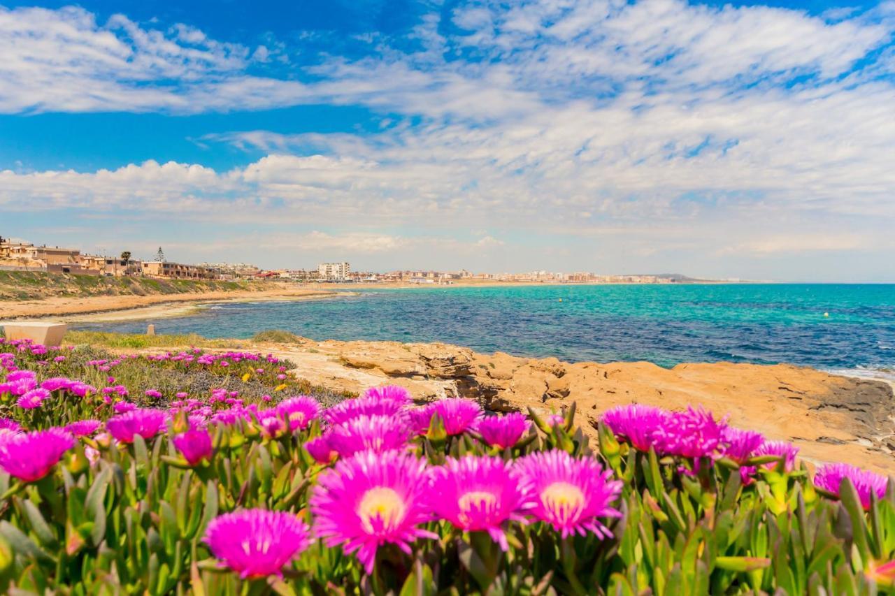 Apartamento Alegria Id36 La Mata  Bagian luar foto